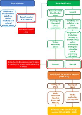 Modelling distribution and fate of coralligenous habitat in the Northern Adriatic Sea under a severe climate change scenario